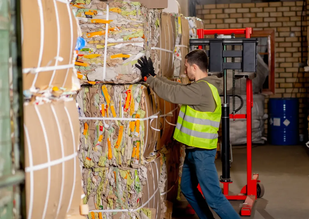Cardboard