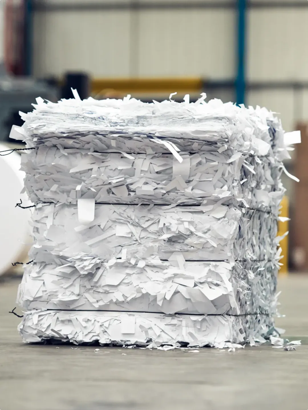 Cardboard Second