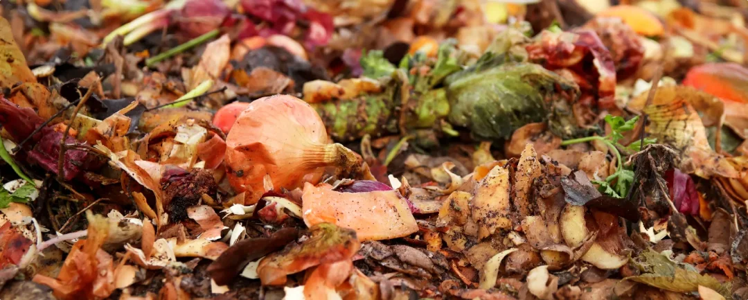 Organic waste