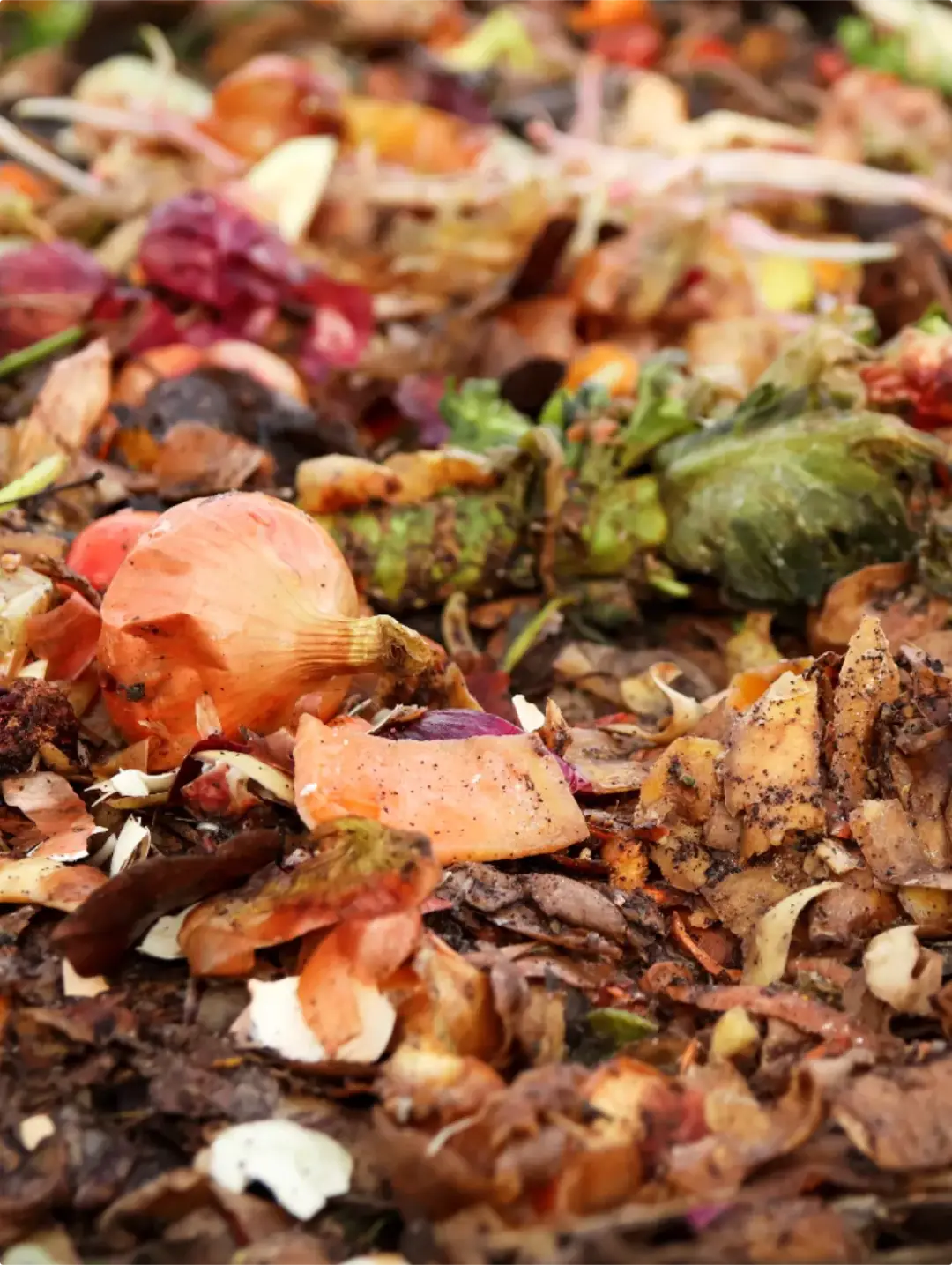 Organic waste second